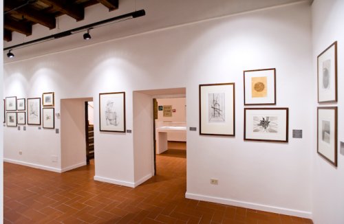 Civica raccolta d’arte e raccolta incisori marchigiani