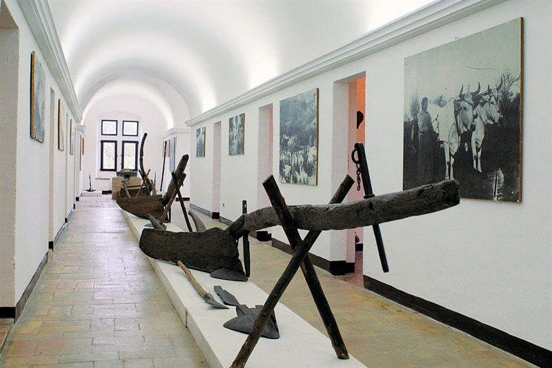 Museo di storia della mezzadria "Sergio Anselmi"
