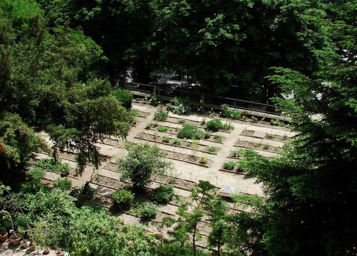 Orto botanico "Carmela Cortini" di UNICAM