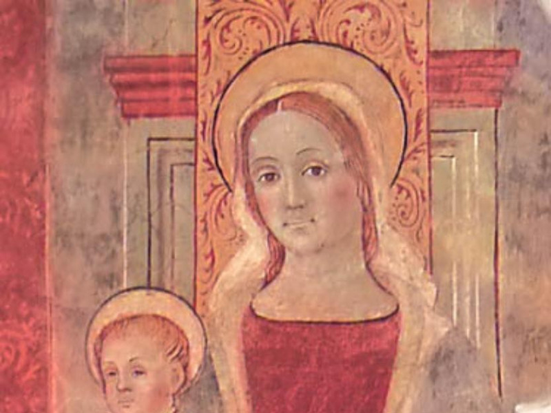 Museo civico Palazzo Forti