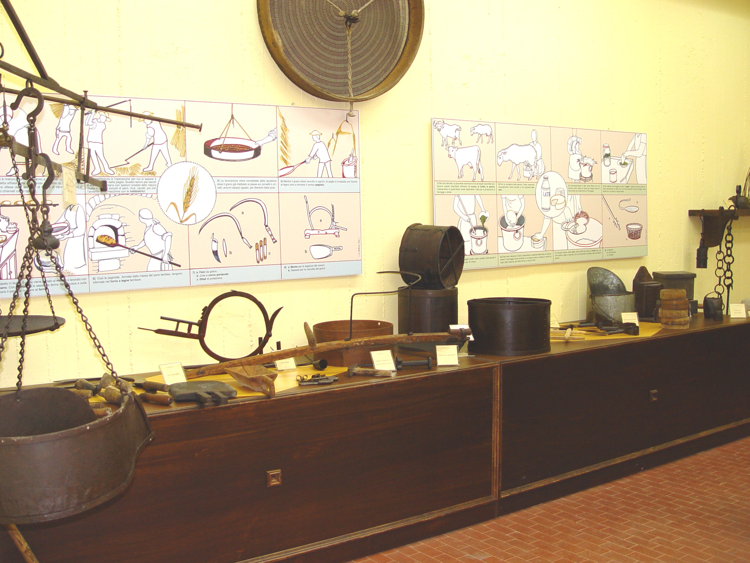 Museo del territorio "Oberdan Poleti"