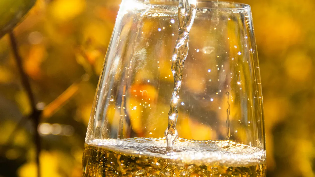 Profitez de 20% sur nos vins dès 100 CHF d'achat.